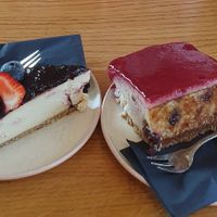  at Veganika in Ljubljana