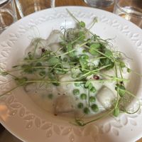   at Veganika in Ljubljana