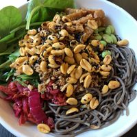 soba 103  at Veganika in Ljubljana