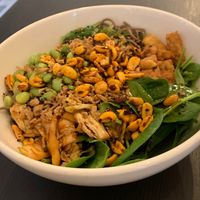   at Veganika in Ljubljana