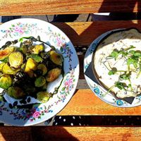  at Veganika in Ljubljana