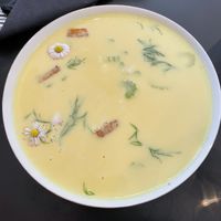   at Veganika in Ljubljana