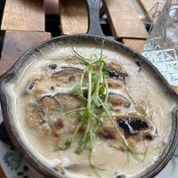 Polenta Mushroom sauce 😋  at Veganika in Ljubljana