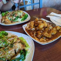 Duck (x2) and sesame chicken at Garden Fresh in Mountain View