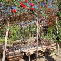 The garden at A Little Tree House in Nyaungshwe