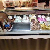 Vegan options! at Gelatissimo in Sydney