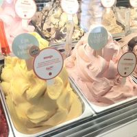 vegan-friendly sorbets at Gelatissimo in Sydney