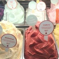 vegan-friendly sorbets at Gelatissimo in Sydney