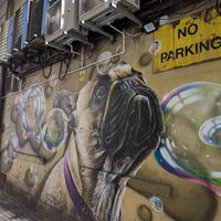 It's down this side street at Stereo in Glasgow