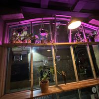 window  at Stereo in Glasgow