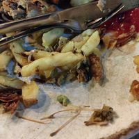  at Stereo in Glasgow