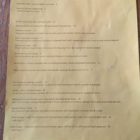 Menu at Stereo in Glasgow