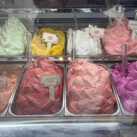   at Gelatissimo - Circular Quay in Sydney