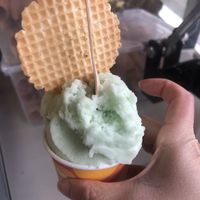 Green apple  at Gelatissimo - Circular Quay in Sydney