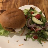 Vegan burger  at The Dog in Smethwick