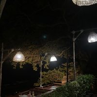   at Cabbages & Condoms in Pattaya