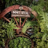   at Cabbages & Condoms in Pattaya