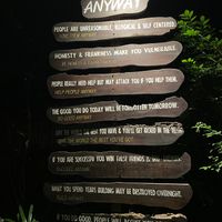   at Cabbages & Condoms in Pattaya