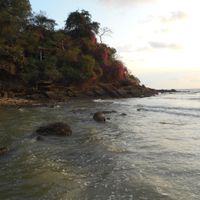 Beach below the restaurant - bring your bathing suit at Cabbages & Condoms in Pattaya