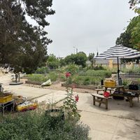 Garden!  at One Grub Community in El Paso