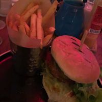   at Turtle Bay in Bristol