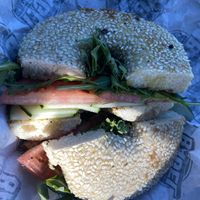 The Harvest at Providence Bagel in Providence