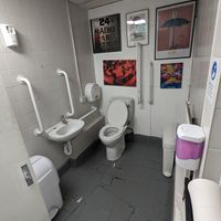 Adapted toilet at Plant Club in North London