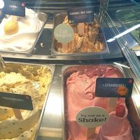 Vegan fruit sorbets & a caramel mud cake flavour at Gelatissimo in Cheltenham