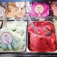8 vegan flavours to choose from at Gelatissimo in Fremantle