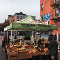 "Local produce, farm-to-table" at Farmer's Market - East Harlem in New York City