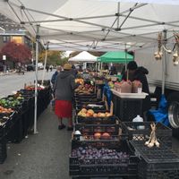 Fruit. at Farmer's Market - East Harlem in New York City