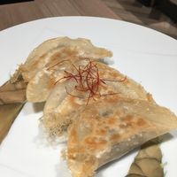 Veggie gyoza  at M's Table in Yokohama