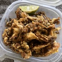 Calamari Appetizer (oyster mushroom) at Juuuicy's Vegan Restaurant & Mama's Vegan Cocina in West Palm Beach