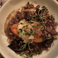 Roast squash  at Forage in Cambridge