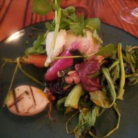  at Forage in Cambridge