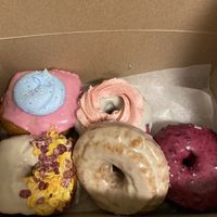   at The Vegan Doughnut Company in Lakewood
