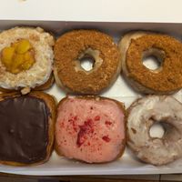  at The Vegan Doughnut Company in Lakewood