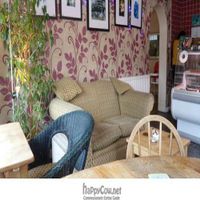  at Jack Sprats Vegetarian Vegan Cafe in Newcastle Upon Tyne