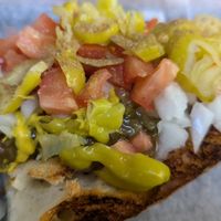 Chicago dog at Dogtown in Rochester