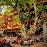 1. the entrance is the grey door on the right at DaFo Vegetarian in Guangzhou