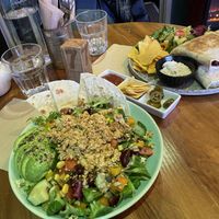   at Plantarium Cafe in Stratford-upon-avon