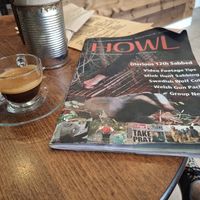 Supporting HSA bonus!! 🦊 at Plantarium Cafe in Stratford-upon-avon