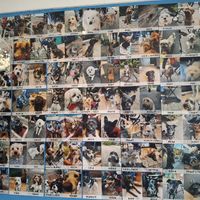 So many happy 🐕🐶 at Plantarium Cafe in Stratford-upon-avon