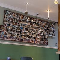 Wall of dog photos at Plantarium Cafe in Stratford-upon-avon