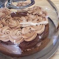 cake 1 at Plantarium Cafe in Stratford-upon-avon