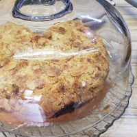 cake 3 - i had this- very nice at Plantarium Cafe in Stratford-upon-avon