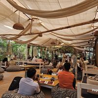  at The Garden of Dreams  in Arambol