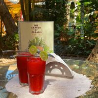   at The Garden of Dreams  in Arambol