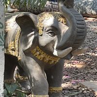   at The Garden of Dreams  in Arambol