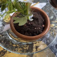 This is a dessert! It was super cool but a bit dry  at Atavico Cafe in Quito